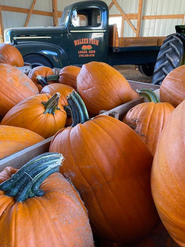 Small Business Spotlight Walker Farm